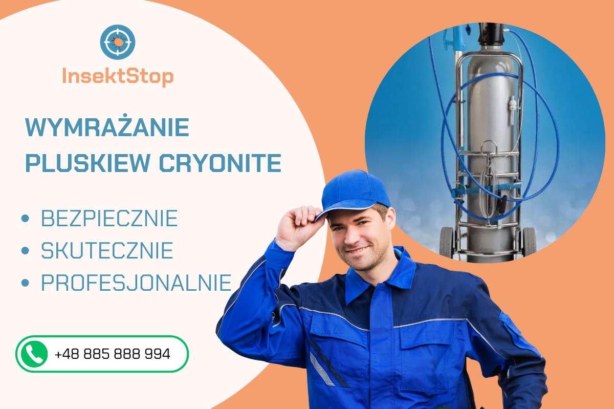 insektstop.pl dezynsekcja