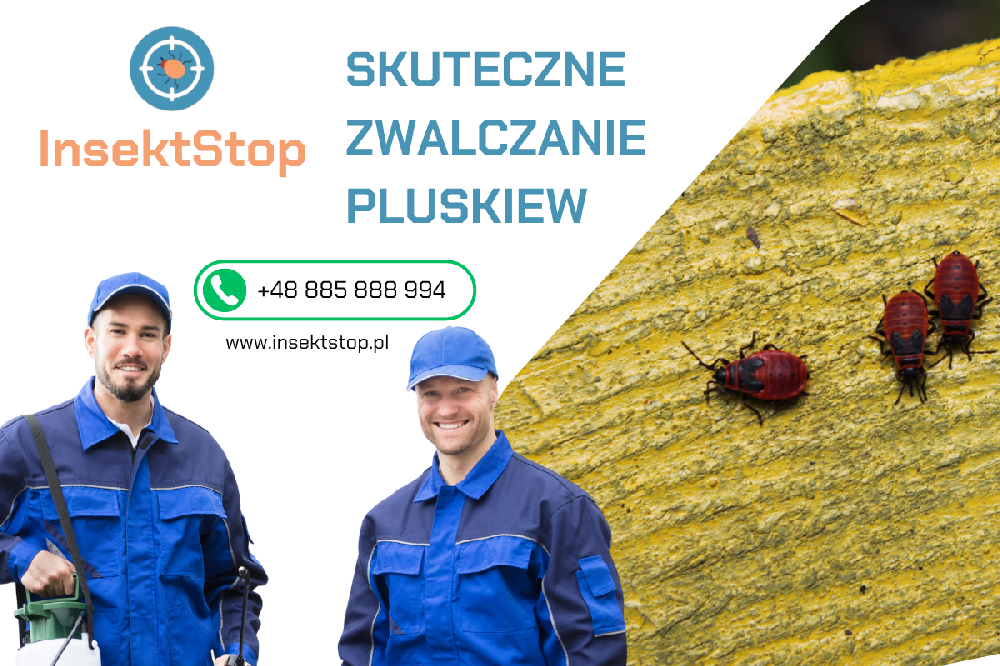 zwalczanie pluskiew insektstop.pl